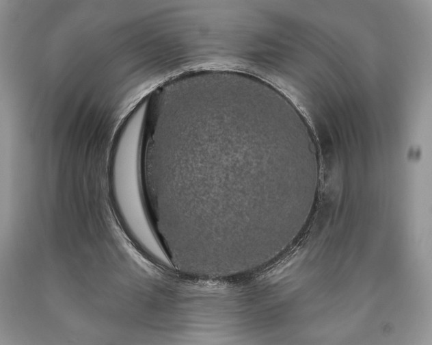 X0000090440437200707201256