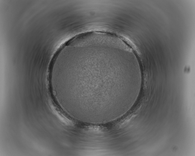 X0000090440439200707201256