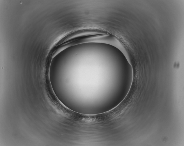 X0000090440440200707201256