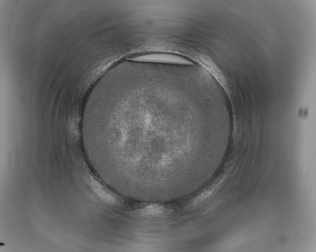 X0000090440441200707201256