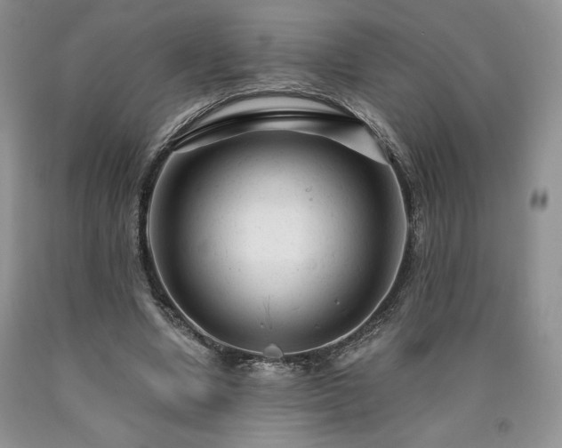 X0000090440442200707201256