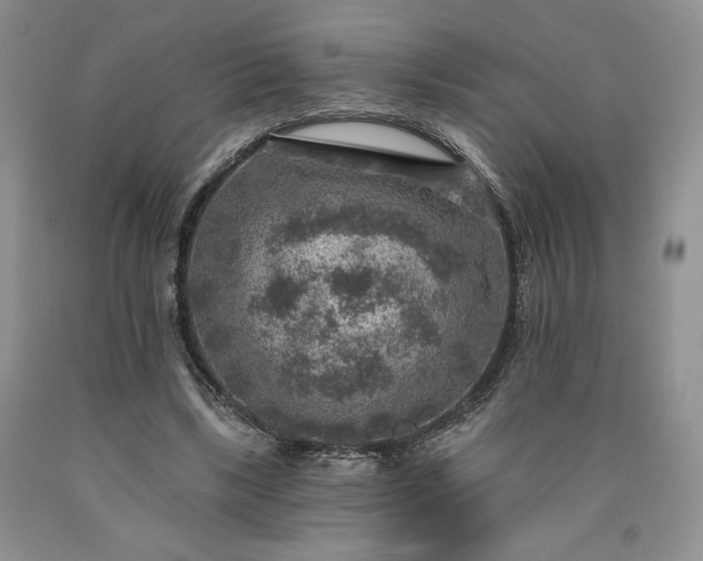 X0000090440443200707201256