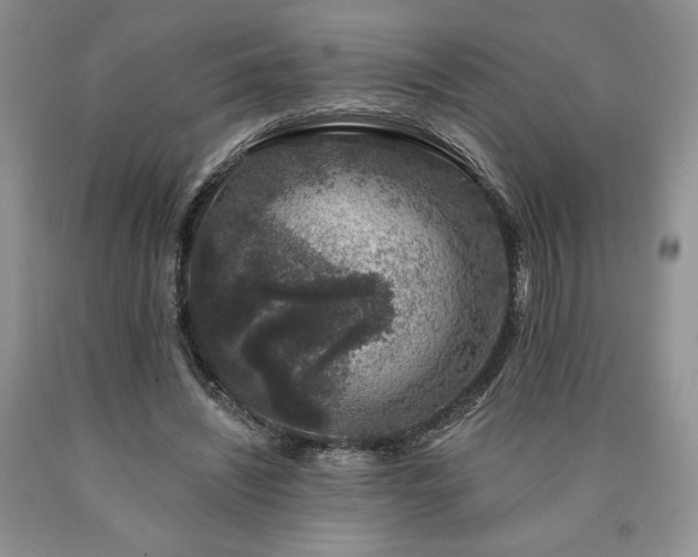 X0000090440444200707201256