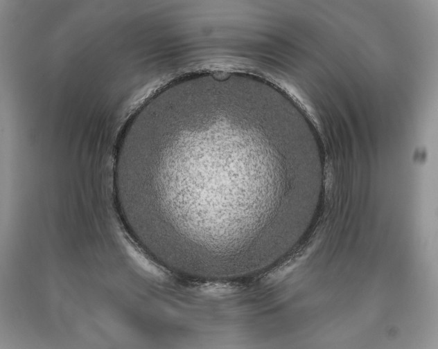 X0000090440445200707201256