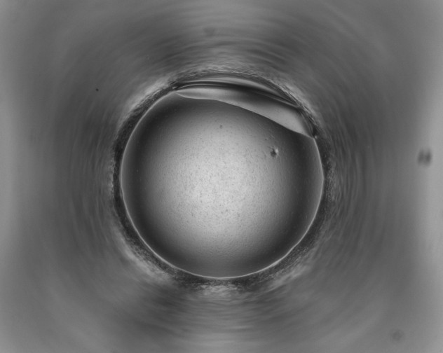 X0000090440446200707201256