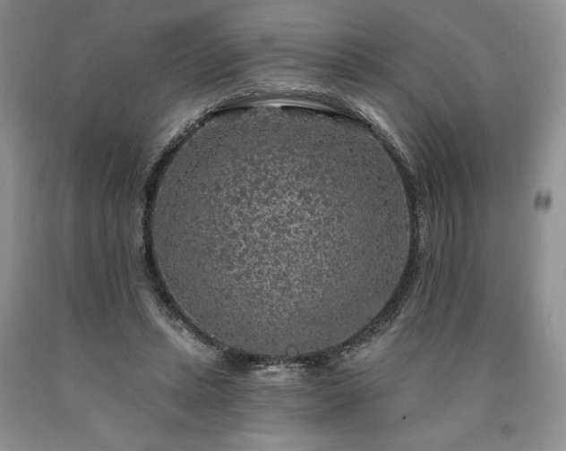 X0000090440447200707201256