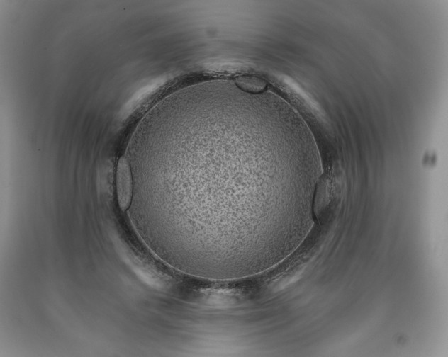 X0000090440448200707201256