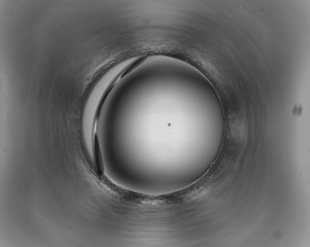 X0000090440450200707201256