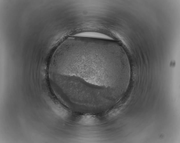 X0000090440451200707201256