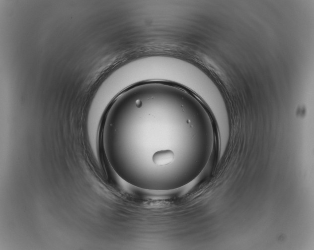 X0000090440452200707201256