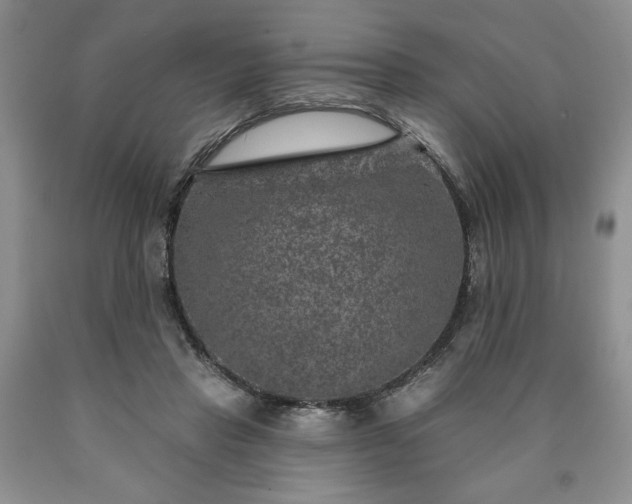 X0000090440453200707201256