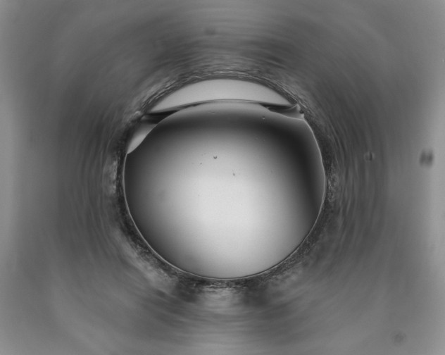 X0000090440454200707201256