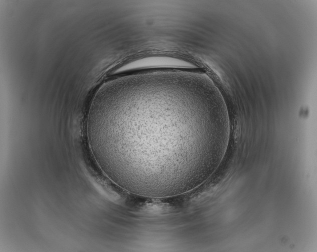 X0000090440455200707201256