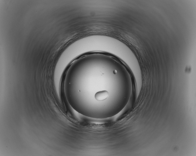 X0000090440456200707201256