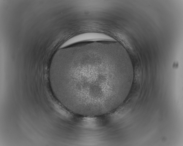 X0000090440457200707201256