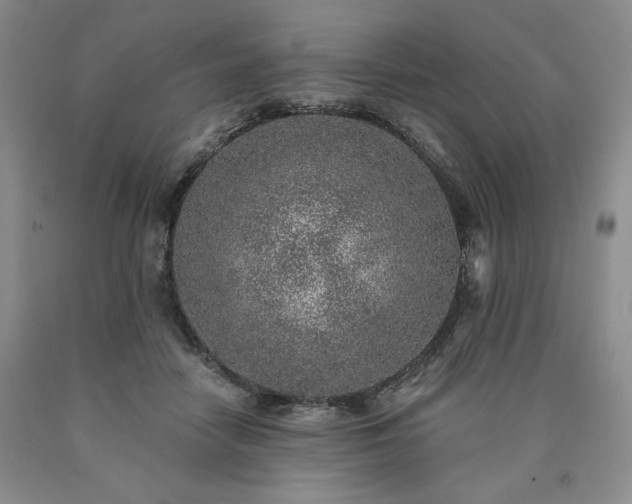 X0000090440458200707201256