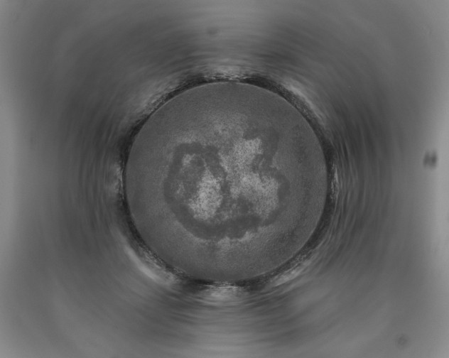 X0000090440459200707201256