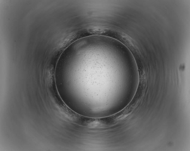 X0000090440460200707201256