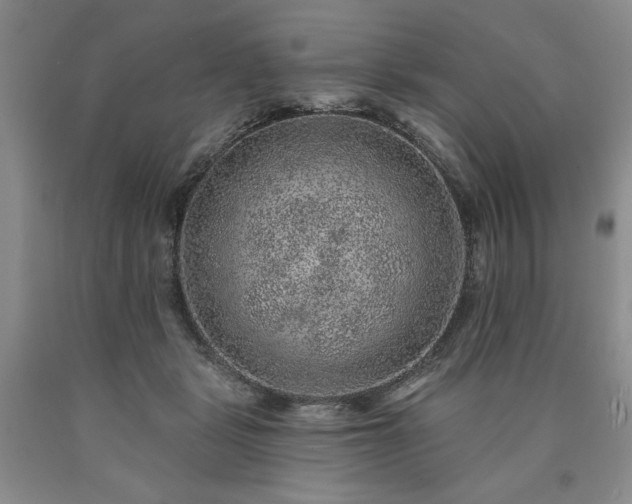 X0000090440461200707201256