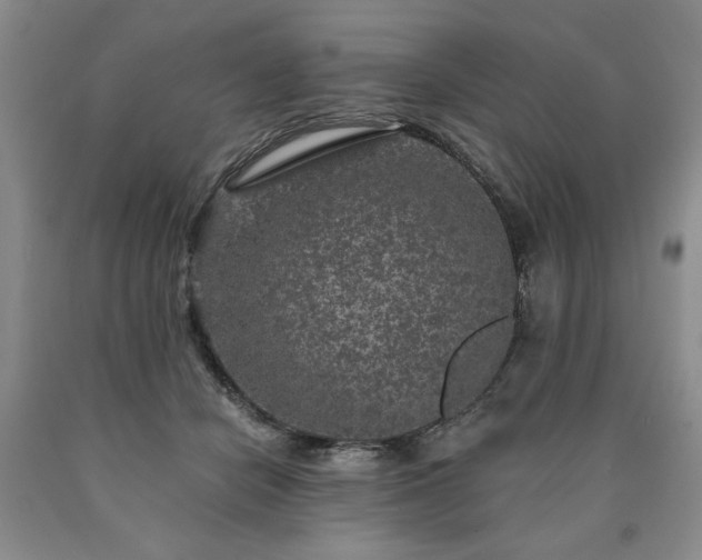 X0000090440462200707201256