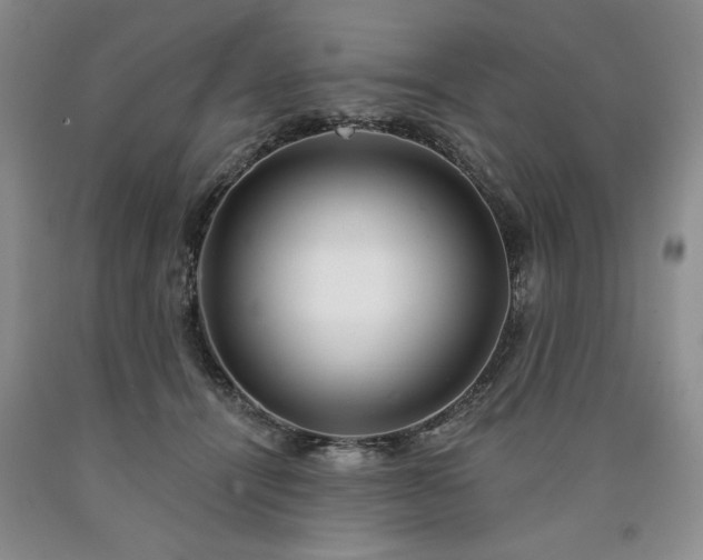 X0000090440464200707201256