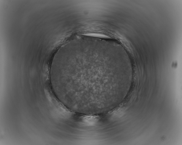 X0000090440465200707201256