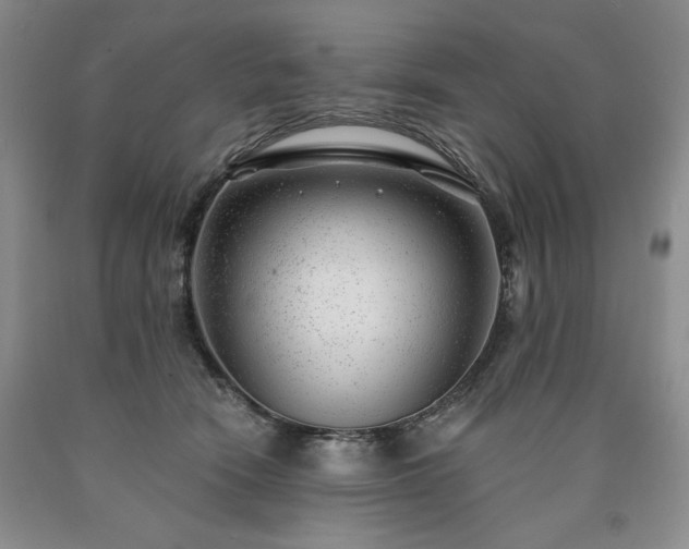 X0000090440466200707201256