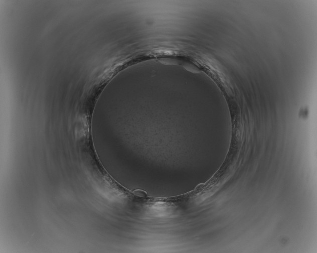 X0000090440467200707201256