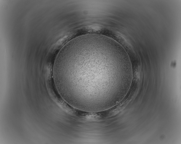 X0000090440468200707201257