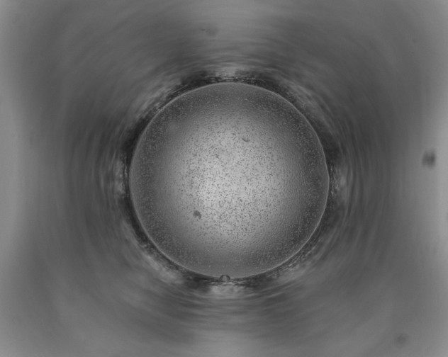 X0000090440470200707201257