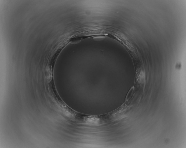 X0000090440471200707201257