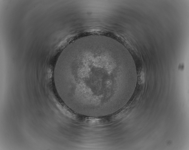 X0000090440472200707201257