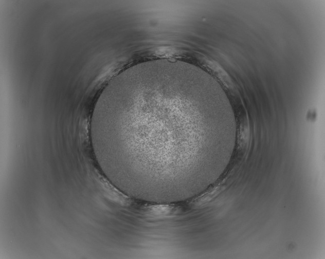 X0000090440473200707201257