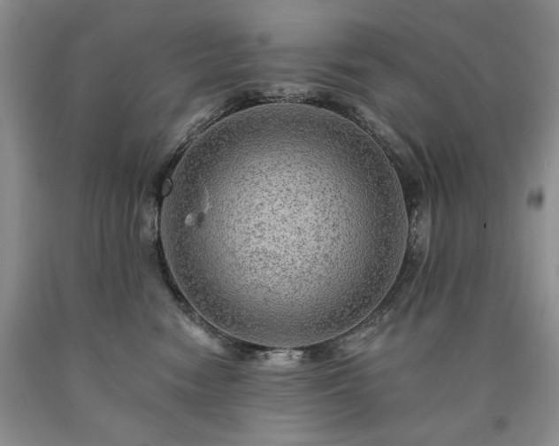 X0000090440474200707201257