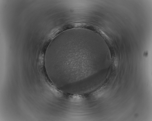 X0000090440475200707201257