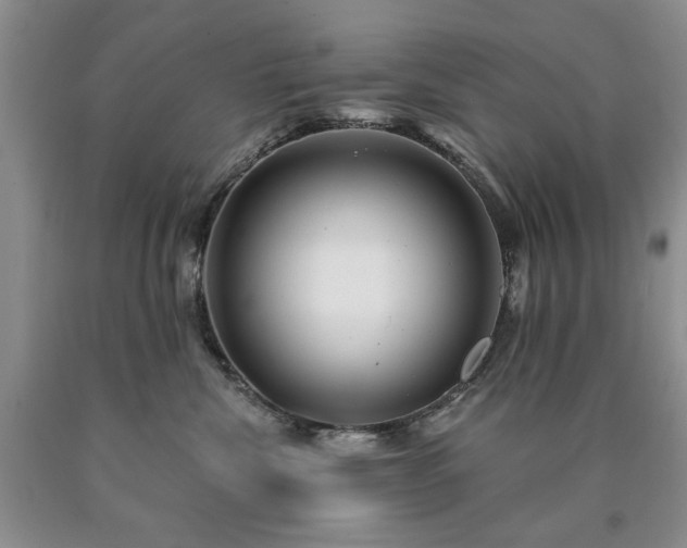 X0000090440476200707201257