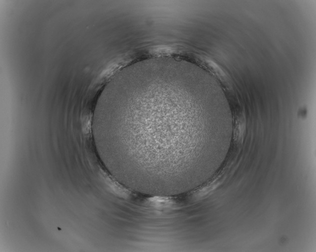 X0000090440477200707201257