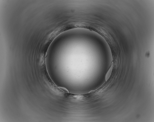 X0000090440478200707201257