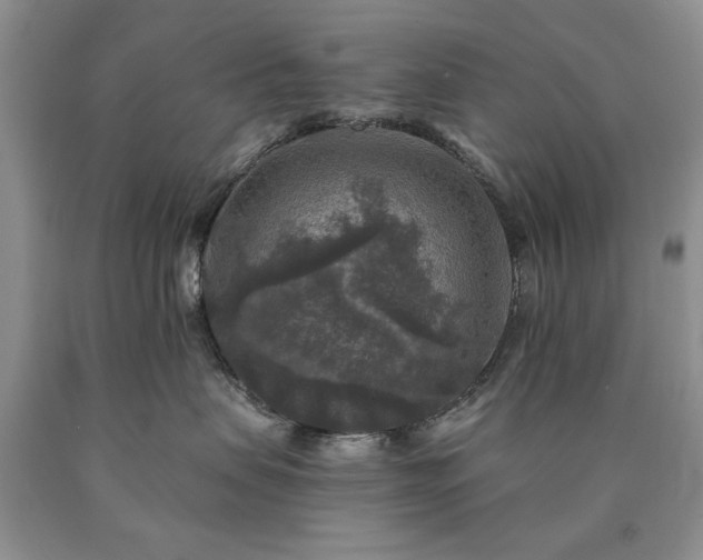 X0000090440479200707201257