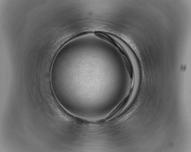 X0000090440481200707201256