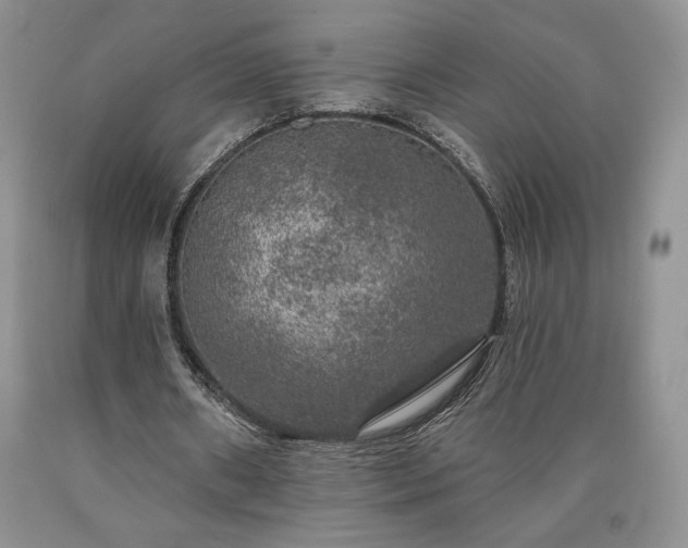 X0000090440482200707201256