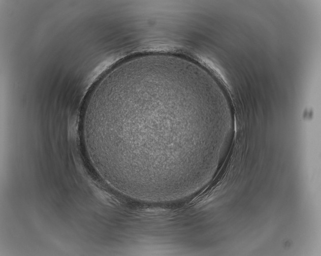 X0000090440483200707201256