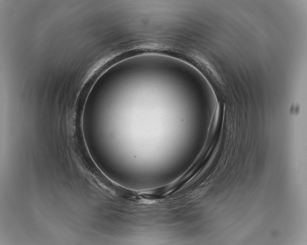 X0000090440484200707201256