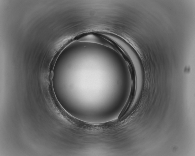 X0000090440485200707201256