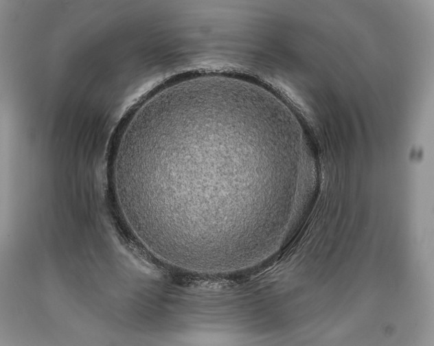 X0000090440488200707201256