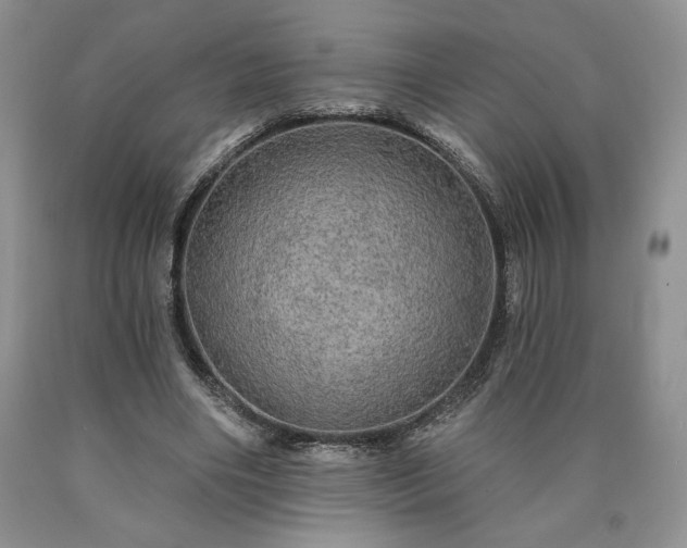 X0000090440490200707201256