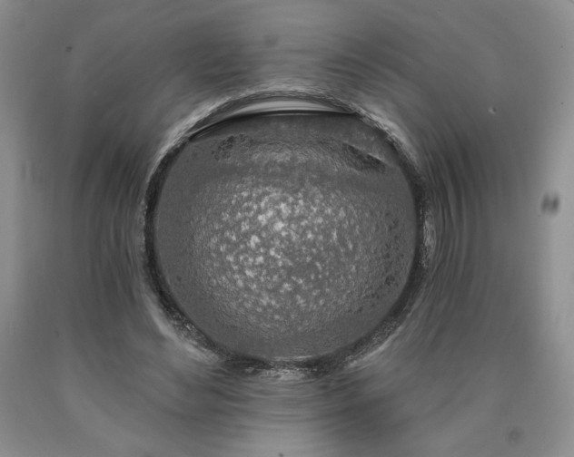 X0000090440492200707201256