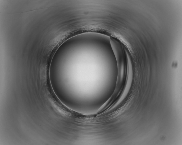 X0000090440493200707201256