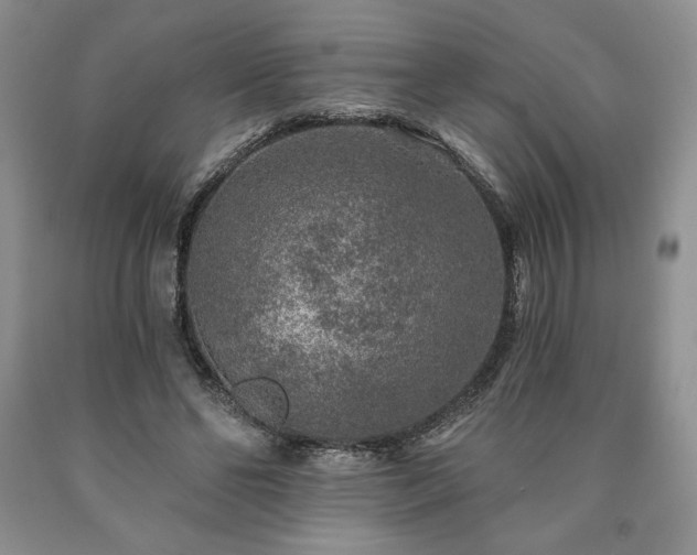 X0000090440494200707201256