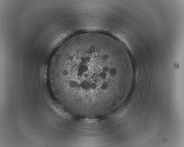 X0000090440495200707201256